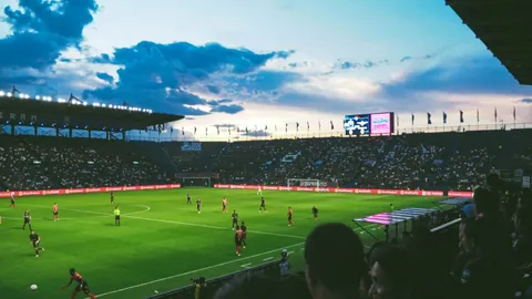 《光与影》巅峰收藏盛典！年度游戏豪华实体版震撼登场，收藏控们不容错过！